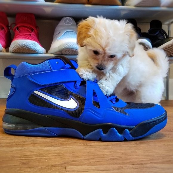 Meet your Posher, John - Picture 2 of 4